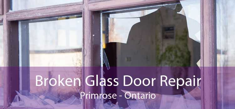 Broken Glass Door Repair Primrose - Ontario
