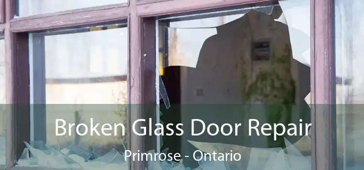 Broken Glass Door Repair Primrose - Ontario