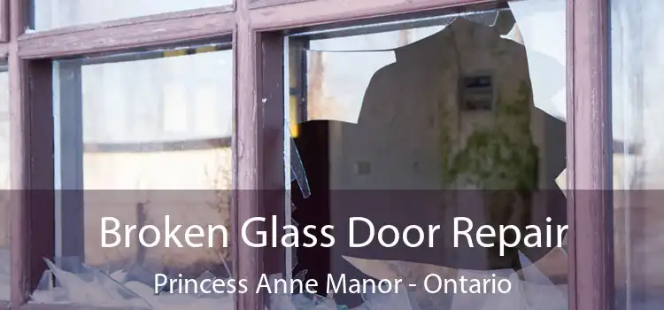 Broken Glass Door Repair Princess Anne Manor - Ontario