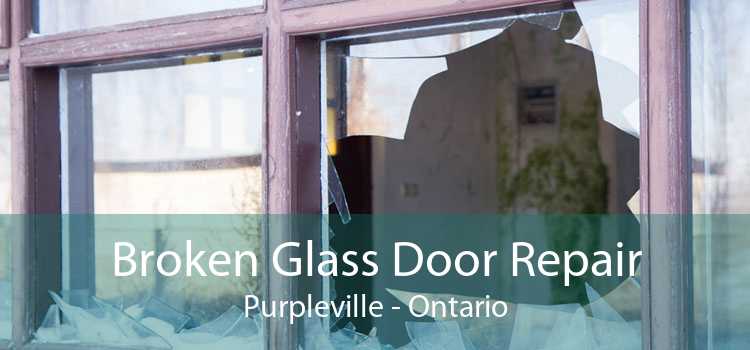 Broken Glass Door Repair Purpleville - Ontario