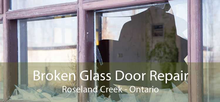 Broken Glass Door Repair Roseland Creek - Ontario