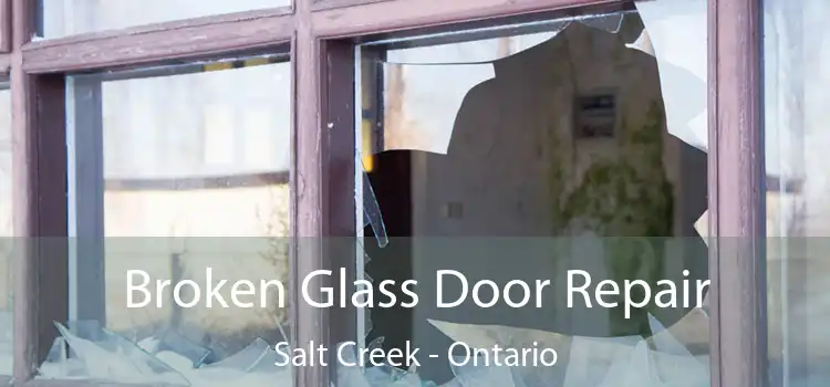 Broken Glass Door Repair Salt Creek - Ontario