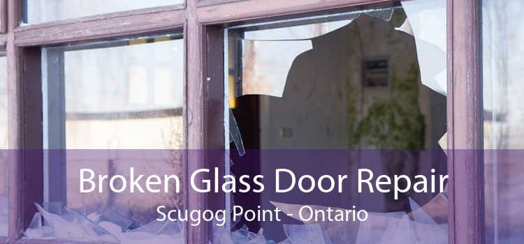 Broken Glass Door Repair Scugog Point - Ontario