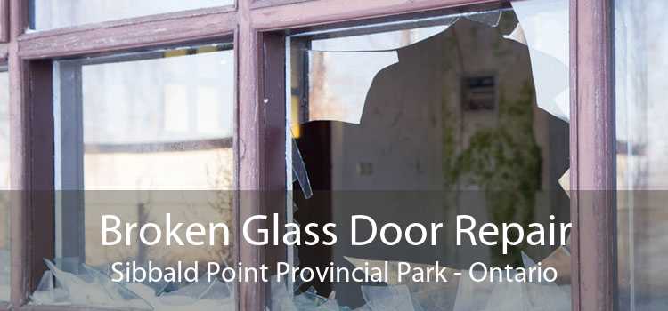 Broken Glass Door Repair Sibbald Point Provincial Park - Ontario