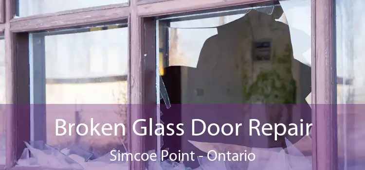 Broken Glass Door Repair Simcoe Point - Ontario