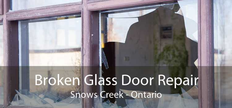 Broken Glass Door Repair Snows Creek - Ontario