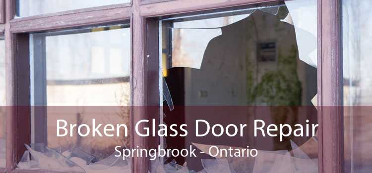 Broken Glass Door Repair Springbrook - Ontario