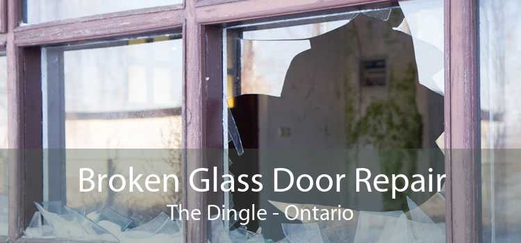 Broken Glass Door Repair The Dingle - Ontario