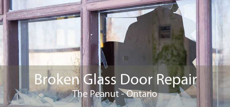Broken Glass Door Repair The Peanut - Ontario
