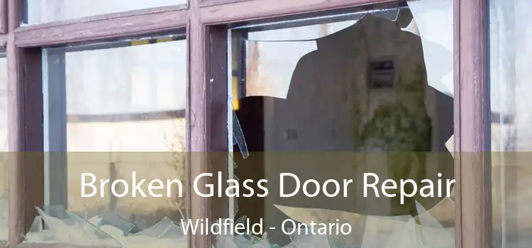 Broken Glass Door Repair Wildfield - Ontario
