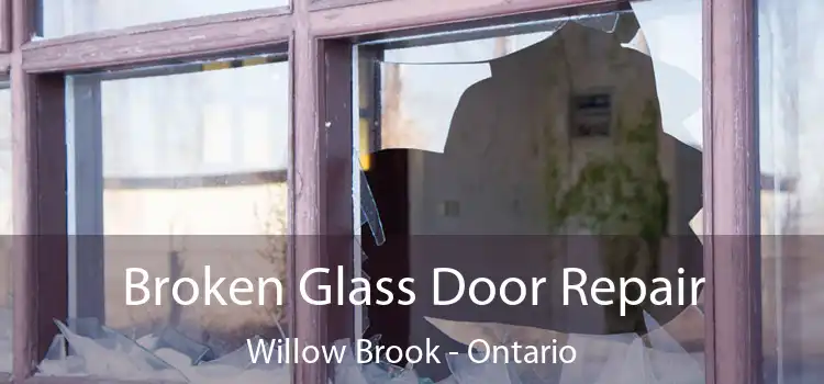 Broken Glass Door Repair Willow Brook - Ontario