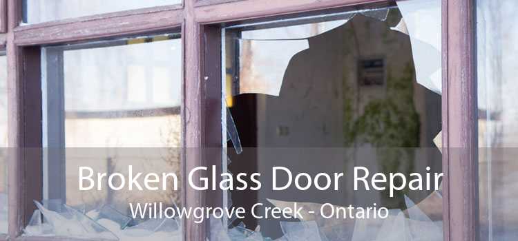 Broken Glass Door Repair Willowgrove Creek - Ontario