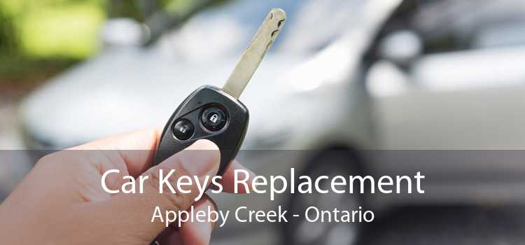 Car Keys Replacement Appleby Creek - Ontario