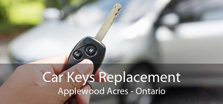 Car Keys Replacement Applewood Acres - Ontario