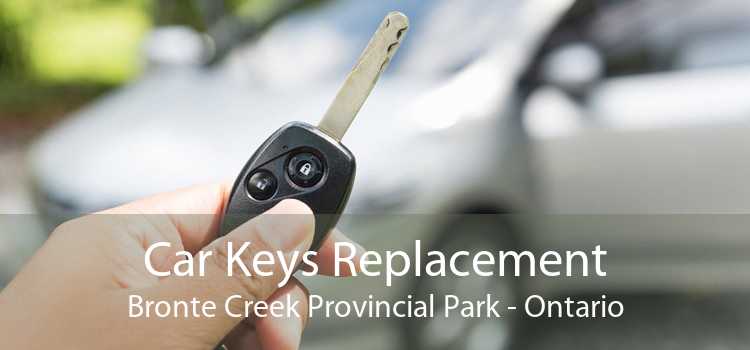 Car Keys Replacement Bronte Creek Provincial Park - Ontario
