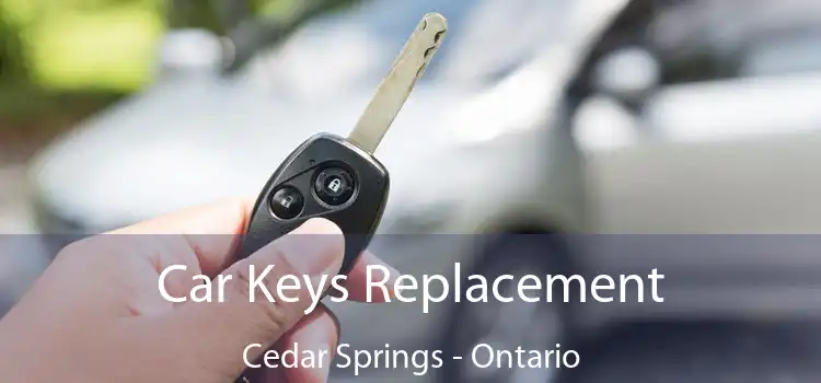Car Keys Replacement Cedar Springs - Ontario