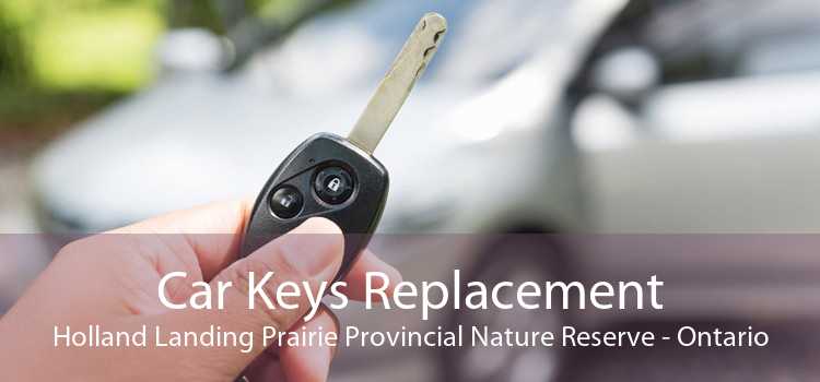 Car Keys Replacement Holland Landing Prairie Provincial Nature Reserve - Ontario