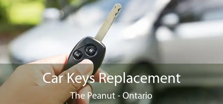Car Keys Replacement The Peanut - Ontario