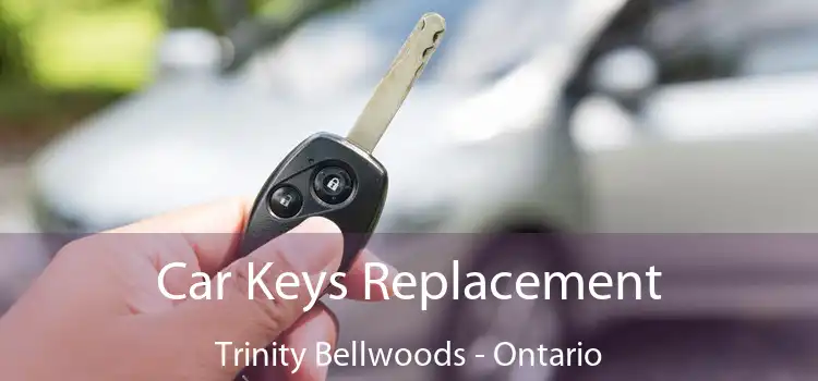 Car Keys Replacement Trinity Bellwoods - Ontario