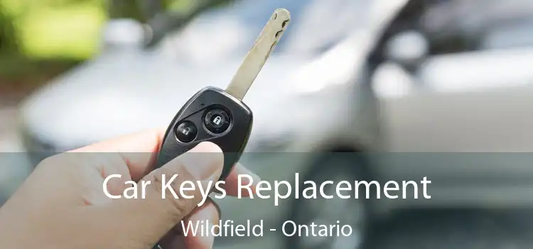 Car Keys Replacement Wildfield - Ontario