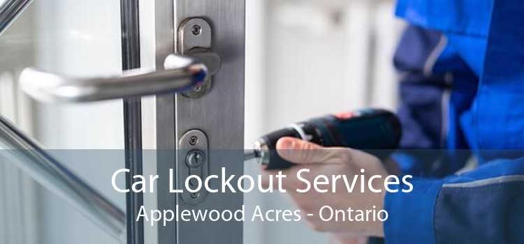 Car Lockout Services Applewood Acres - Ontario