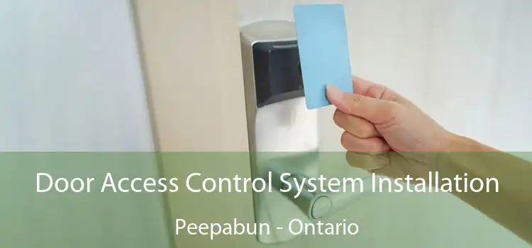 Door Access Control System Installation Peepabun - Ontario