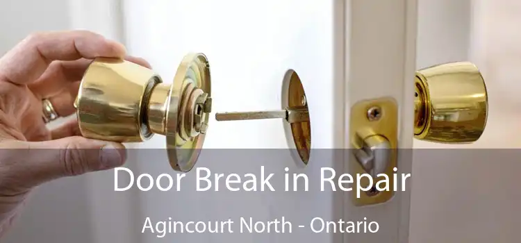 Door Break in Repair Agincourt North - Ontario
