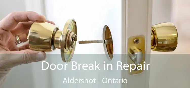 Door Break in Repair Aldershot - Ontario