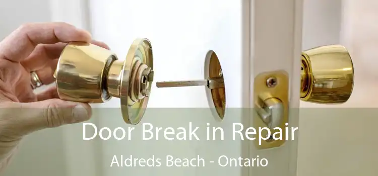 Door Break in Repair Aldreds Beach - Ontario