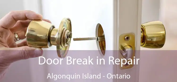 Door Break in Repair Algonquin Island - Ontario