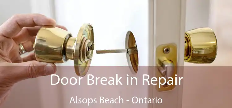 Door Break in Repair Alsops Beach - Ontario