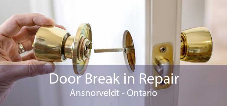 Door Break in Repair Ansnorveldt - Ontario