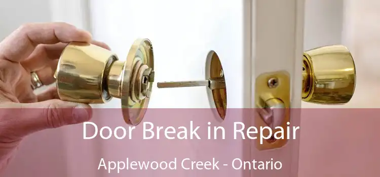 Door Break in Repair Applewood Creek - Ontario
