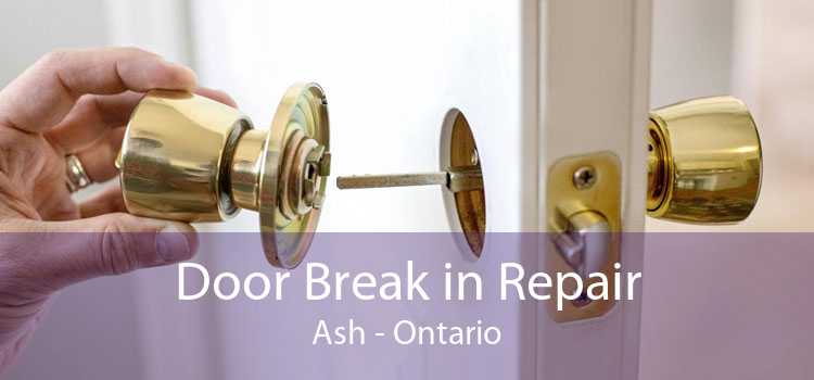 Door Break in Repair Ash - Ontario
