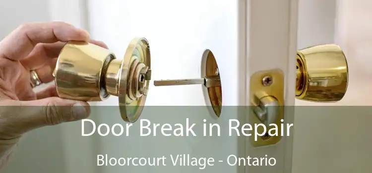Door Break in Repair Bloorcourt Village - Ontario