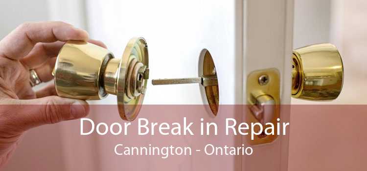Door Break in Repair Cannington - Ontario