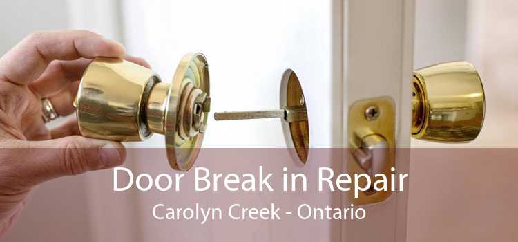 Door Break in Repair Carolyn Creek - Ontario