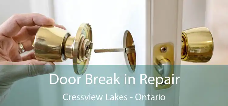 Door Break in Repair Cressview Lakes - Ontario