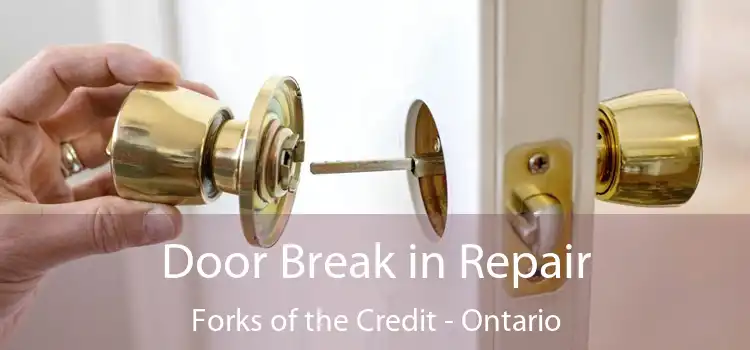 Door Break in Repair Forks of the Credit - Ontario
