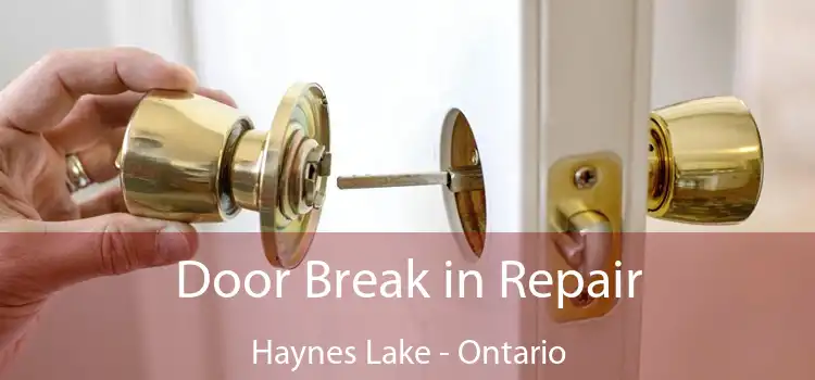 Door Break in Repair Haynes Lake - Ontario