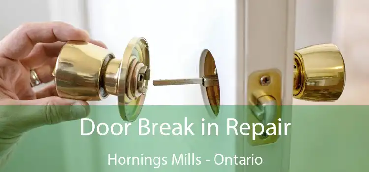 Door Break in Repair Hornings Mills - Ontario