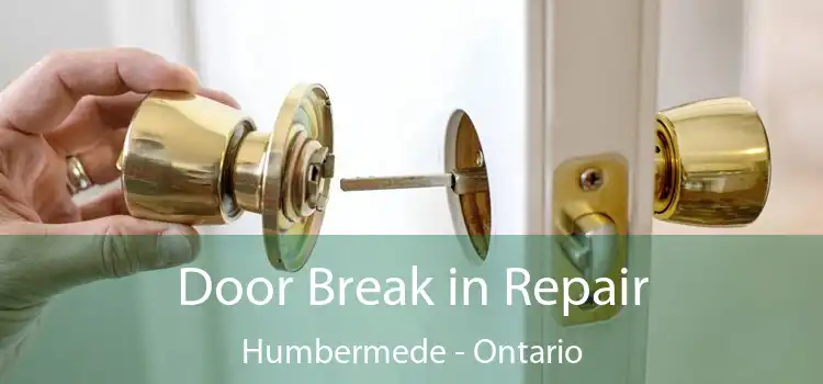Door Break in Repair Humbermede - Ontario