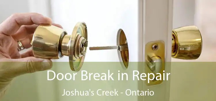 Door Break in Repair Joshua's Creek - Ontario