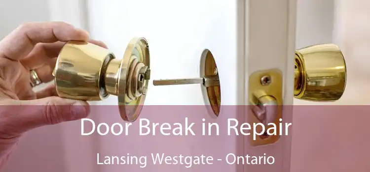 Door Break in Repair Lansing Westgate - Ontario