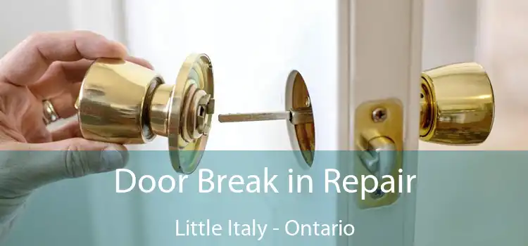 Door Break in Repair Little Italy - Ontario