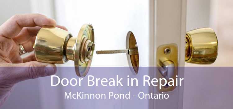 Door Break in Repair McKinnon Pond - Ontario