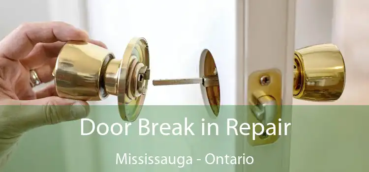 Door Break in Repair Mississauga - Ontario
