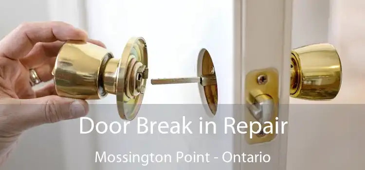 Door Break in Repair Mossington Point - Ontario