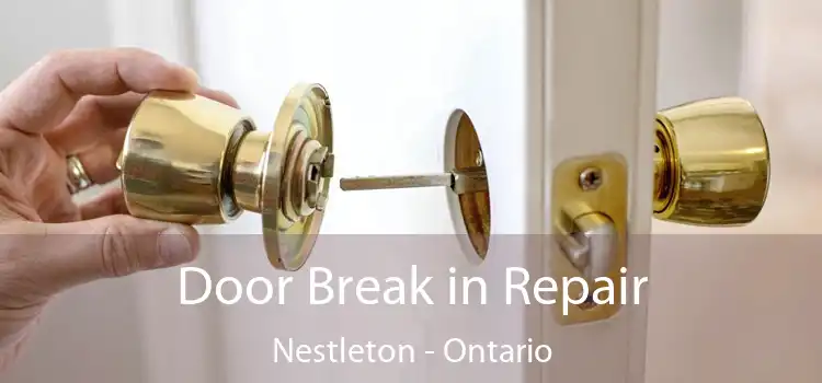 Door Break in Repair Nestleton - Ontario