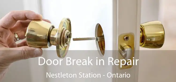 Door Break in Repair Nestleton Station - Ontario